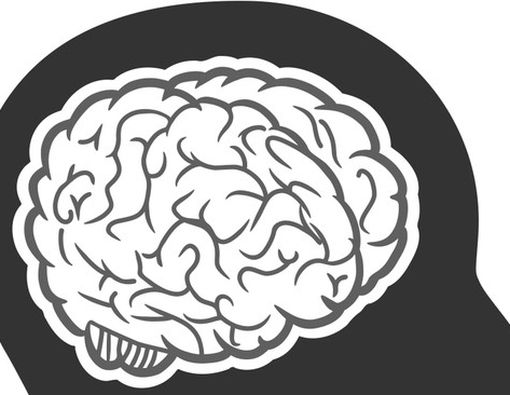 8 Makanan Terbaik untuk Tingkatkan Fungsi Otak