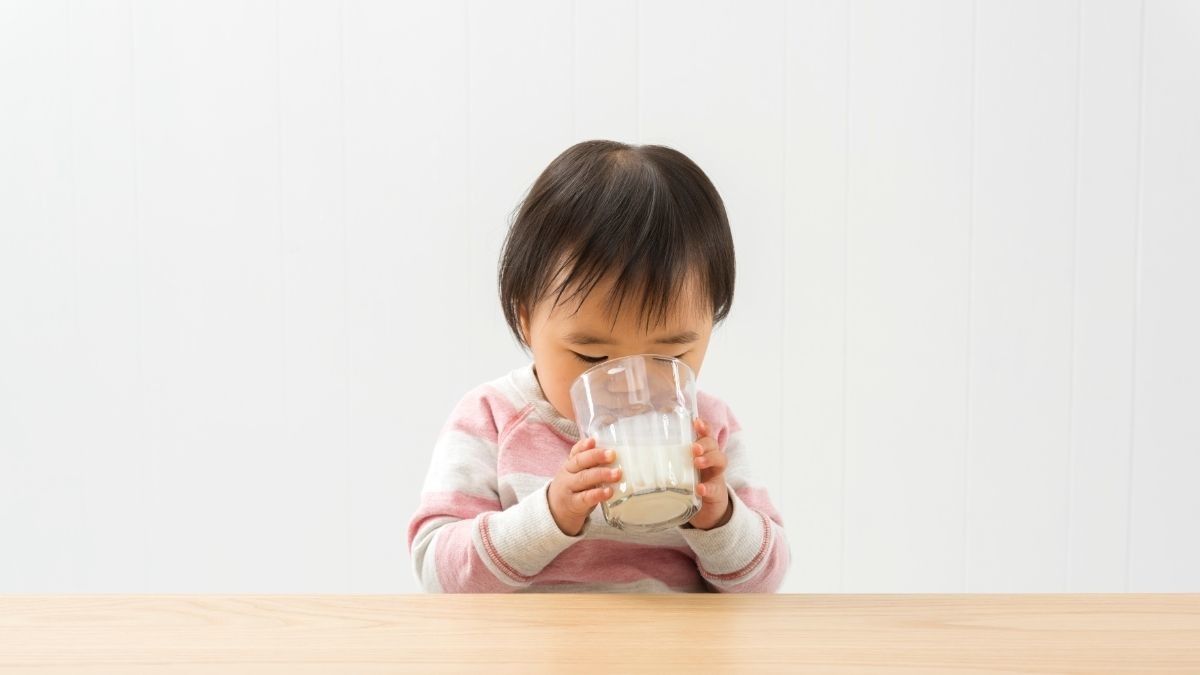 Anak Tak Sengaja Minum Susu Lansia, Apa Efeknya?