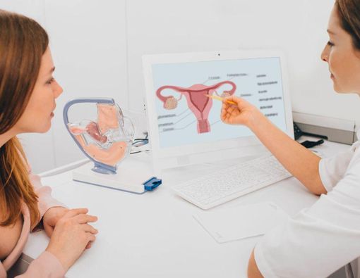 Mengenal Serviks atau Leher Rahim pada Wanita