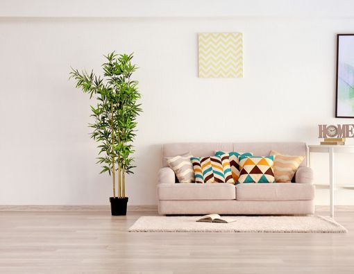 10 Manfaat Punya Tanaman di Dalam Rumah