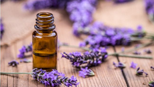 Berbagai Essential Oil untuk Mengatasi Migrain dan Sakit Kepala