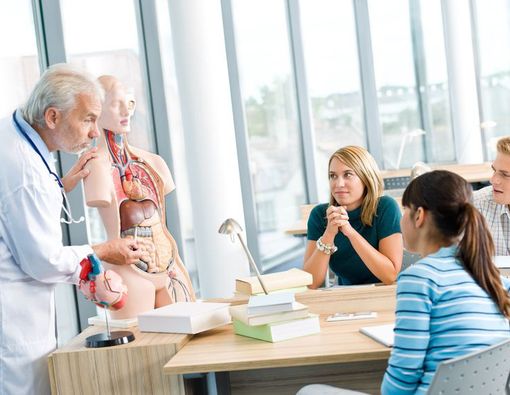 5 Fakta Menarik tentang Tubuh Manusia