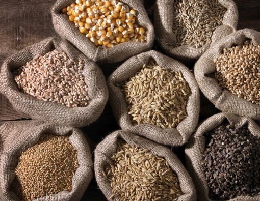 Mengenal Antinutrisi,  Zat yang Menghambat Penyerapan Gizi