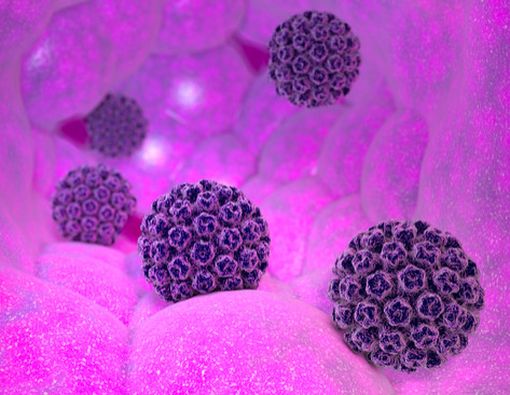 Awas, Virus Kanker Serviks Juga Bisa Menyerang Pria!