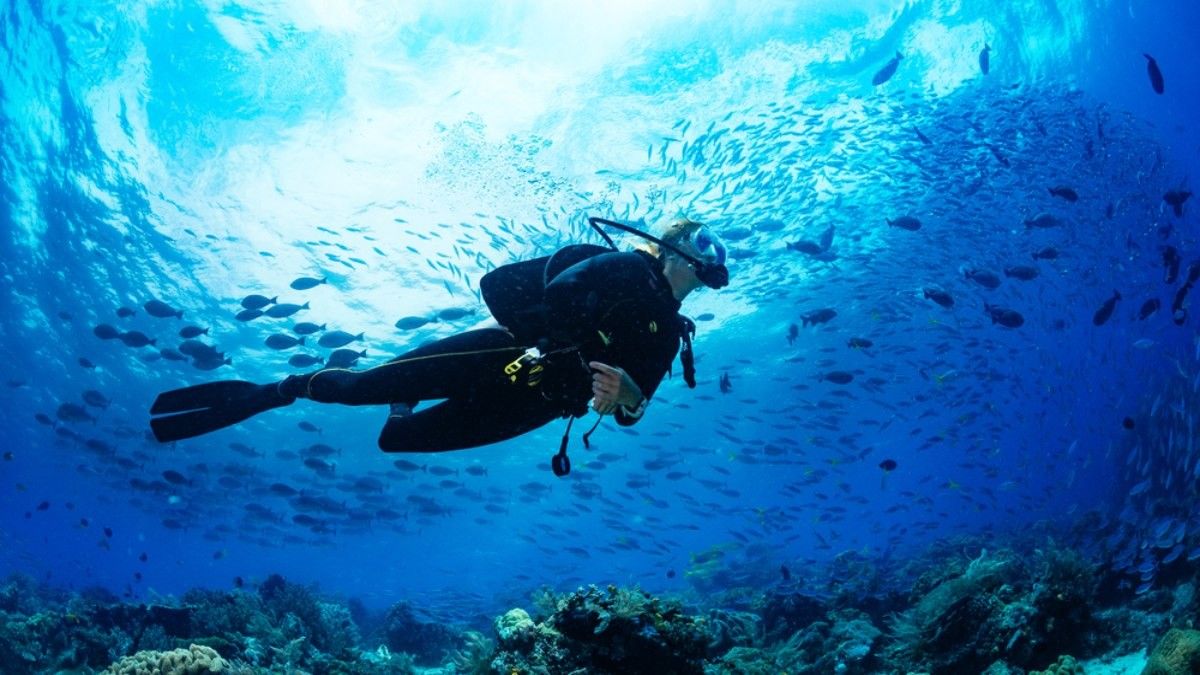 Bolehkah Pasien Sudah Ganti Katup Jantung Menyelam?