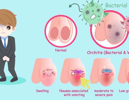 Seksual xayrli tun tilaklari