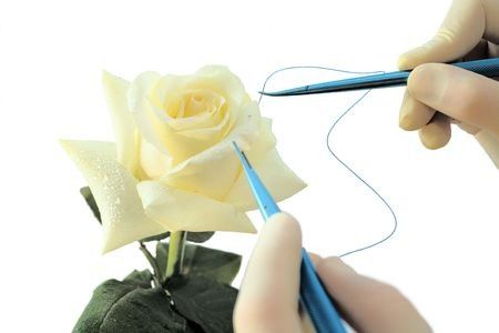 Percantik Vagina dengan Operasi Labiaplasty