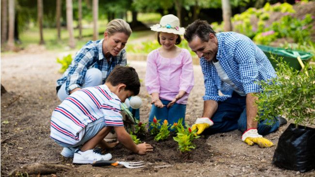 Hobi Berkebun? Ini 5 Manfaat Sehat yang Tidak Anda Sangka