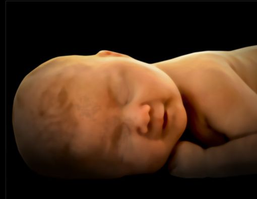 Mungkinkah Bayi Sudah Bisa Menangis Sejak dalam Rahim?