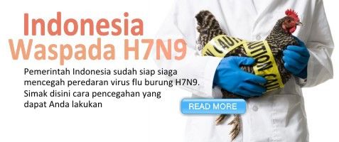 Sekilas Mengenai H7N9