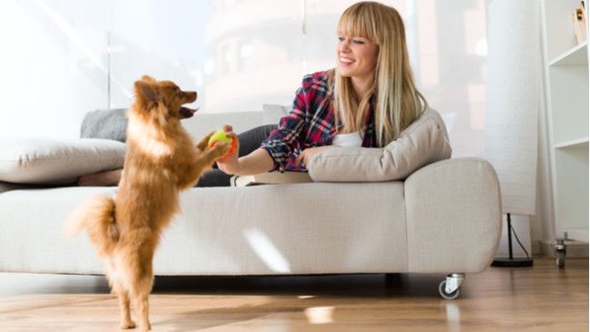 Cara agar Tak Tertular Penyakit Kulit dari Hewan Peliharaan