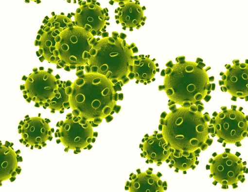 Mengenal Virus MERS Penyebab Flu Unta