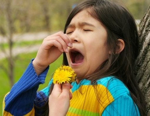 Kupas Tuntas Pemicu Alergi pada Si Kecil