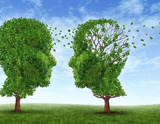Fakta Seputar Alzheimer di Indonesia