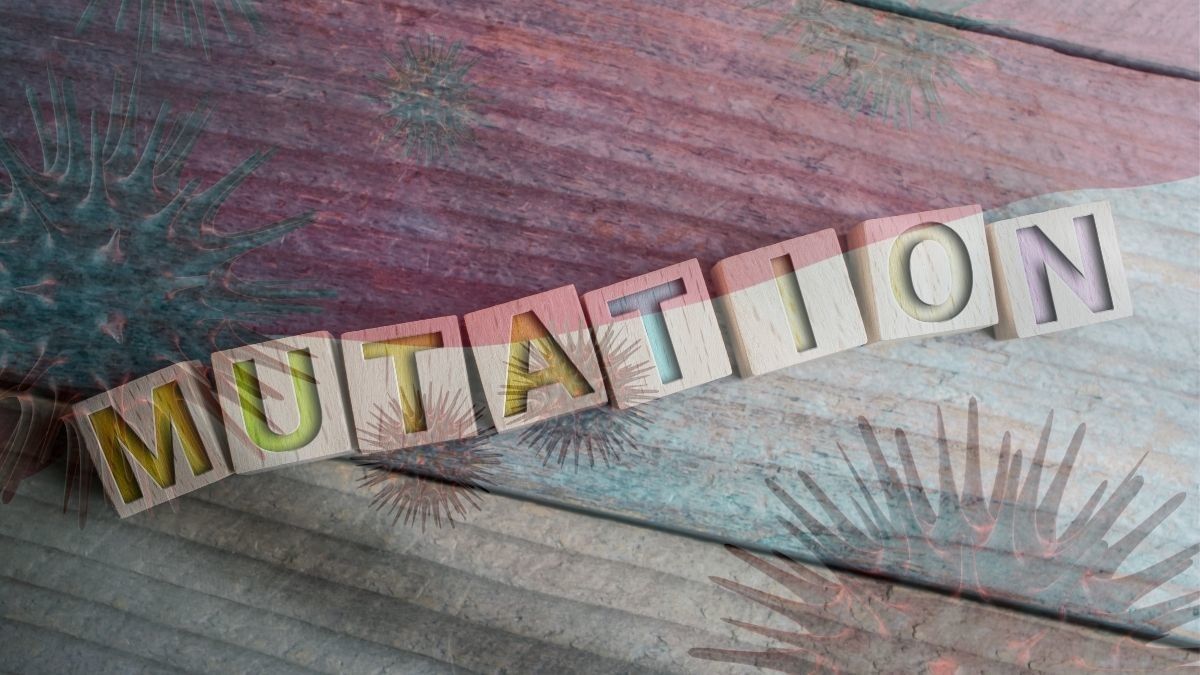 Mengenal Virus Mutasi Lokal COVID-19 di Indonesia