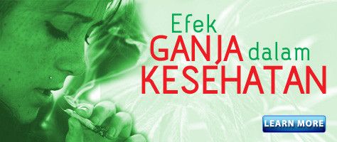 Efek Ganja Pada Kesehatan Mental