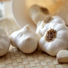 Deretan Obat Herbal TBC yang Mudah Diperoleh