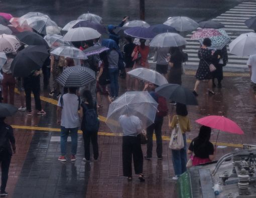 Musim Hujan Datang, Awas Serangan Leptospirosis!