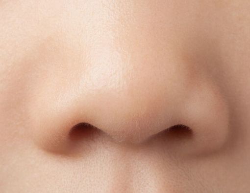 5 Fakta dan Mitos Seputar Kesehatan Hidung