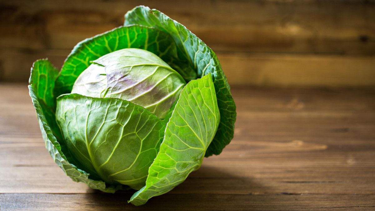 Tak Boleh Dikonsumsi Berlebihan, Ini Bahaya Kubis bagi Kesehatan
