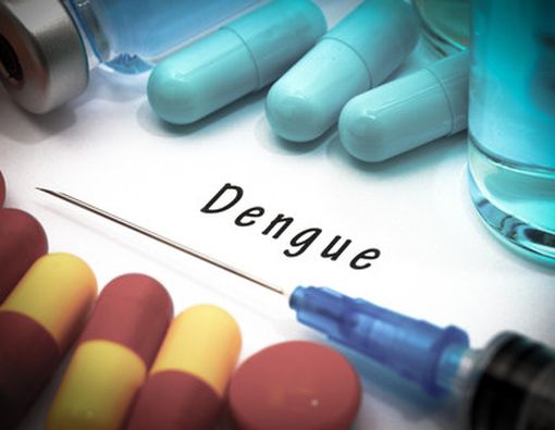 Bagaimana Mengobati Infeksi Dengue?