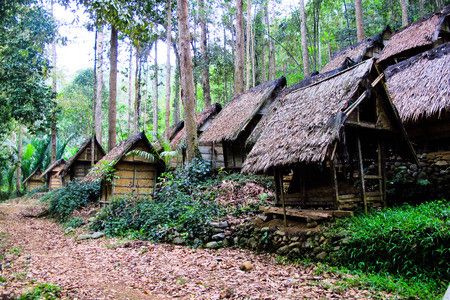 Gaya Hidup Sehat ala Suku Baduy