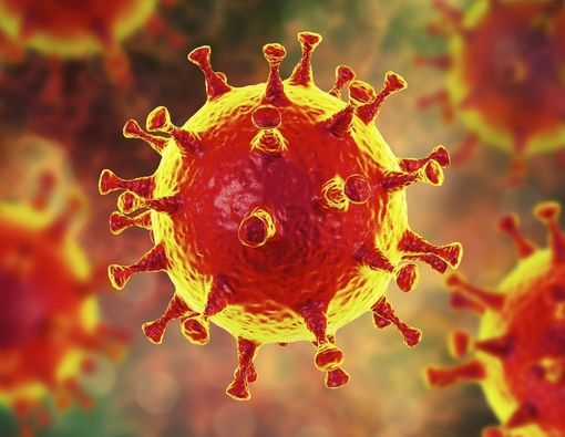 Diduga Kurangi Efektivitas Vaksin, Ketahui Virus Corona Eek