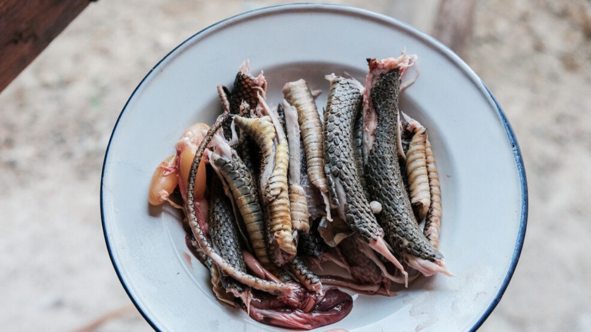 Makanan Ekstrem Ini Digembar-gemborkan Kaya akan Protein, Faktanya?