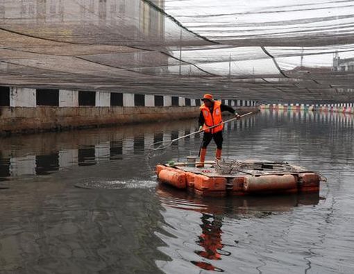 Melihat Kali Item dari Segi Kesehatan