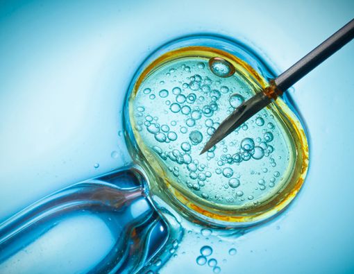 Kenali Fakta Seputar Program Bayi Tabung