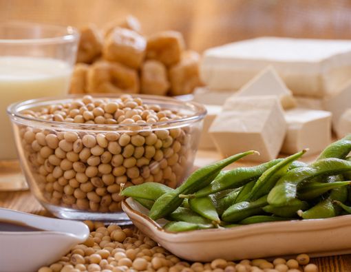 Plus Minus Konsumsi Kedelai untuk Program Hamil