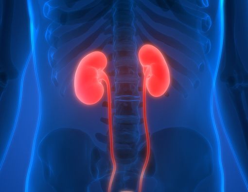 Siapa Lebih Rentan Gagal Ginjal, Pria atau Wanita?