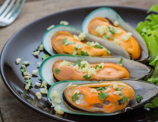 Cara Memilih Kerang Hijau yang Aman untuk Dikonsumsi