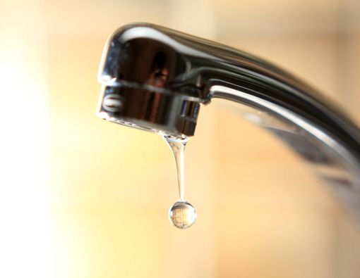 Rus lesbiyan tribadizmi