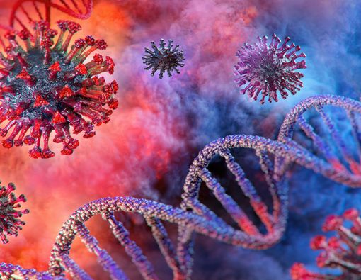 Waspada, Kekebalan terhadap Virus Corona Bertahan Beberapa Bulan Saja!