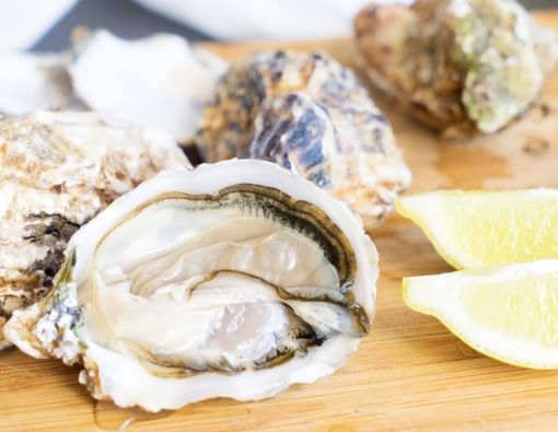 Aturan Menambahkan Kerang untuk MPASI Bayi