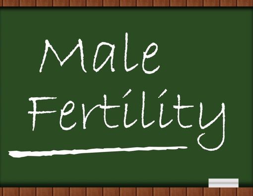 Apakah Usia Dapat Memengaruhi Kesuburan Pria?