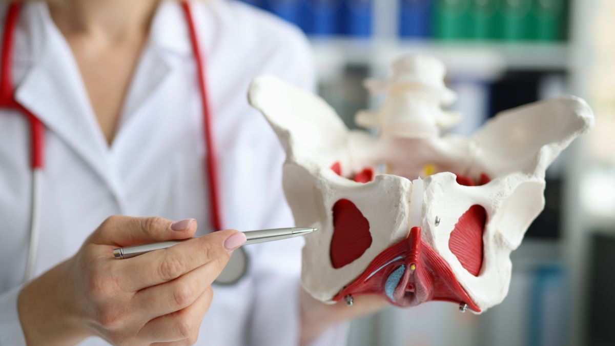  Apa Fungsi Tulang Panggul Manusia? Yuk Kenali Anatominya!