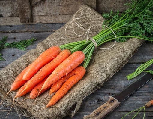 Wortel Bisa Sembuhkan Penyakit Mata, Mitos atau Fakta?