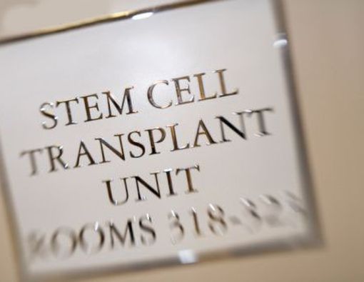 Sel Punca Sembuhkan Pasien HIV