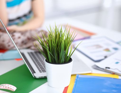 Basmi Stres di Kantor dengan Tanaman Hijau