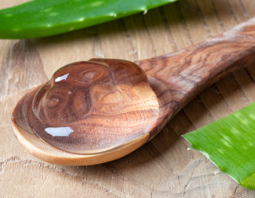 Cara Menghilangkan Plak Gigi dengan Lidah Buaya