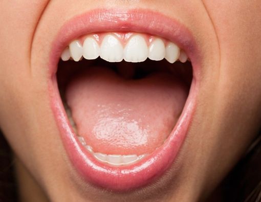 Kenali Fungsi Penting Mulut dan Bagian-bagiannya