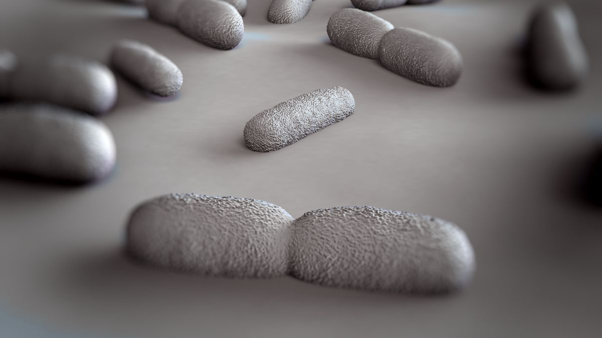 Hati-Hati Infeksi Bakteri Listeria, Ini Gejalanya