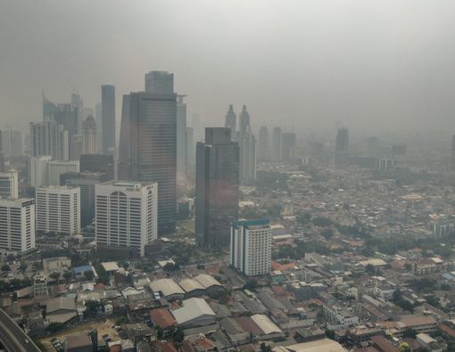 Polusi Udara Picu Kebotakan, Benarkah?