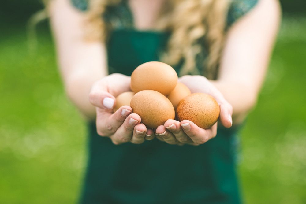 Turunkan Demam dengan Putih Telur, Mitos atau Fakta?