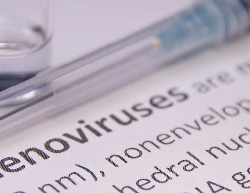 Fenomena Kasus Penyakit Liver pada Anak Positif Adenovirus