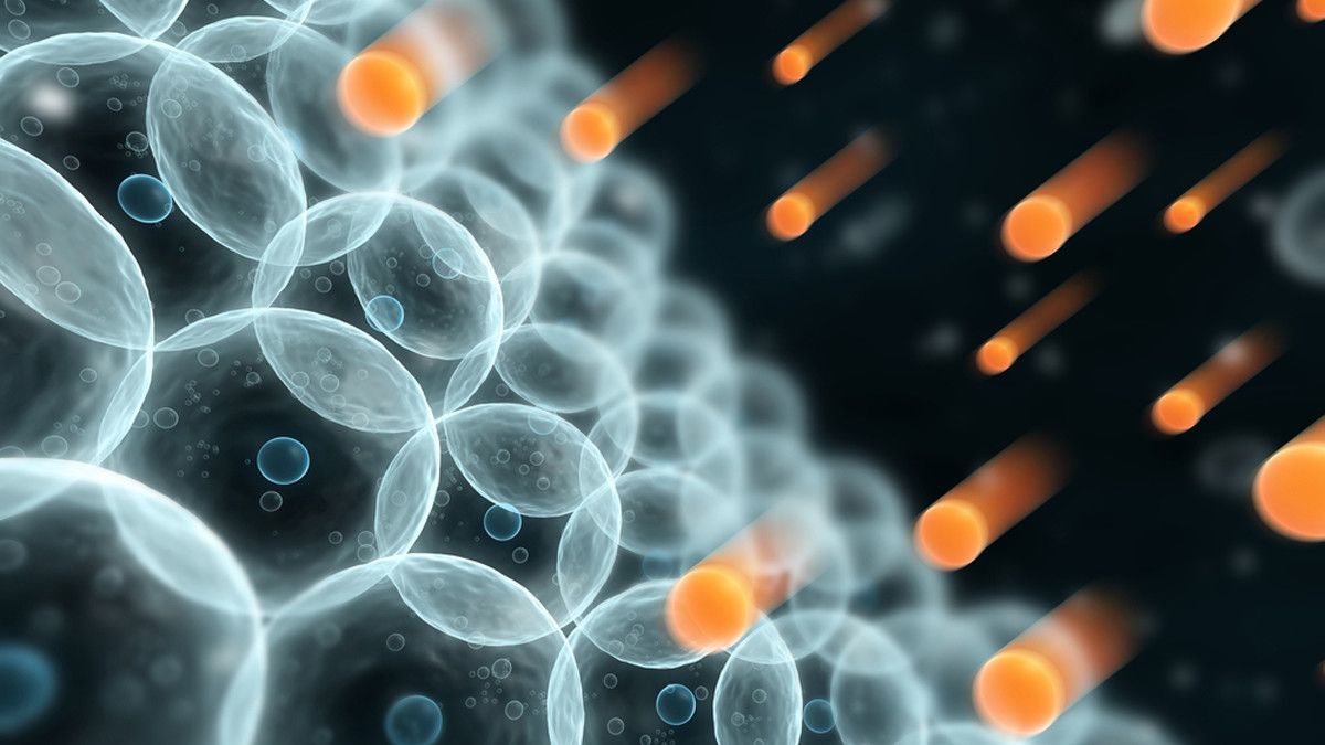 Penangkal Radikal Bebas