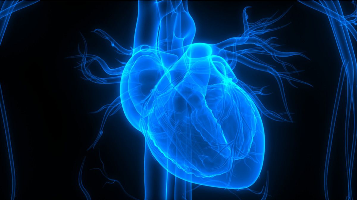 Kesehatan Jantung dan Ginjal Saling Berhubungan, Kok Bisa?