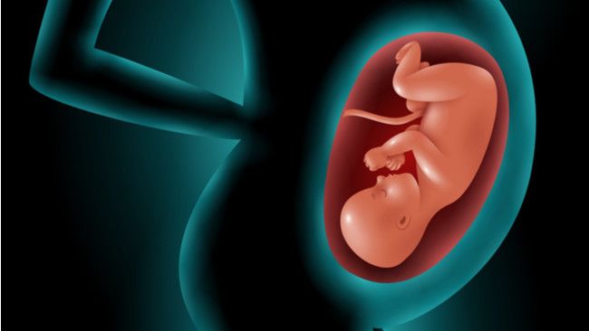 Benarkah Selera Makan Anak Ditentukan Sejak dalam Kandungan?
